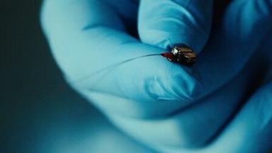 El oficio del espía 1x4