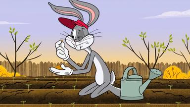 The New Looney Tunes 1x23