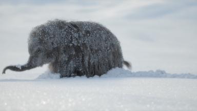 Planeta prehistórico 3x1