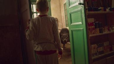 Al borde de la realidad: Latinoamérica 1x5