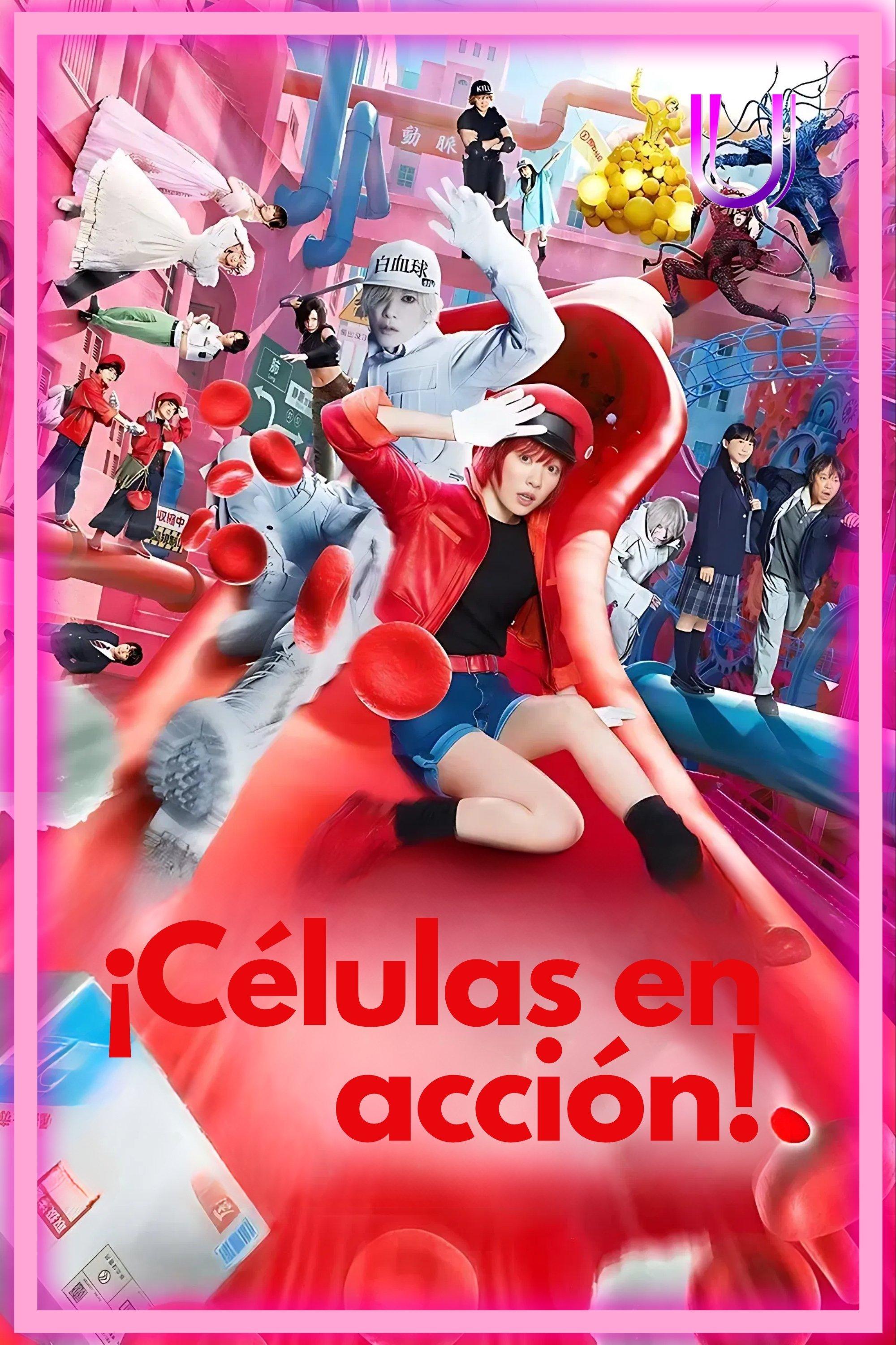 Cells at Work!