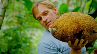 Zac Efron: Con los pies en la tierra 1x3