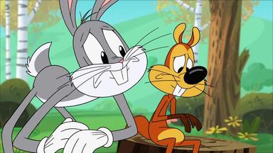 The New Looney Tunes 1x9