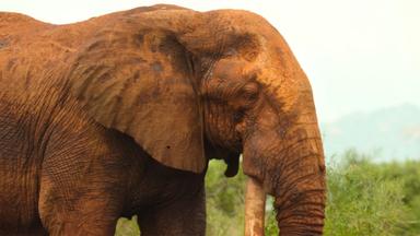 Parques nacionales majestuosos 1x3