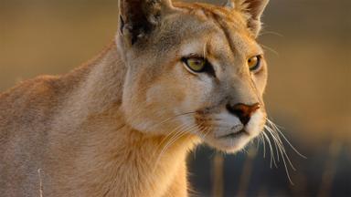 Parques nacionales majestuosos 1x2